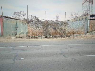 Sector Magollo, , Tacna, Tacna 00001, Peru