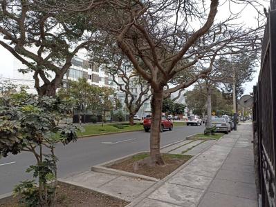 Roca y Boloña , Lima, Lima 00001, 페루