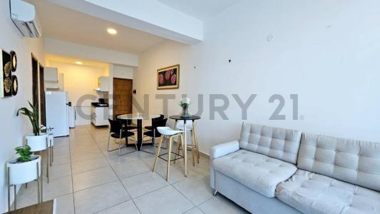 San Vicente y Frncisco Wisner , Lambaré, מרכזי 00001, פרגוואי