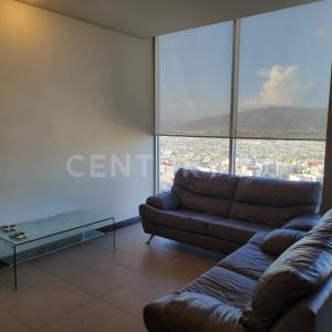 Monterrey, 新萊昂 64638, 墨西哥