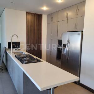 Monterrey, 新萊昂 64638, 墨西哥