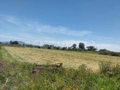 Cañada de la Virgen lt 4,, Tepotzotlan, 墨西哥州 54650, 墨西哥