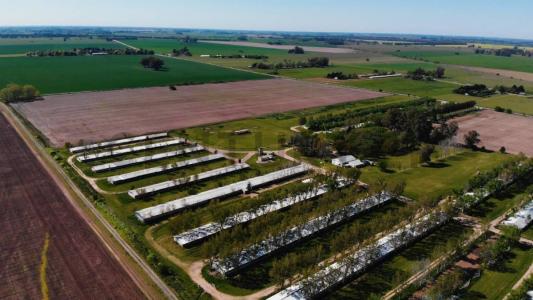 ruta 193 & camino a andonae sin numero, Campana, GBA Norte 00001, アルゼンチン