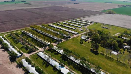 ruta 193 & camino a andonae sin numero, Campana, GBA Norte 00001, アルゼンチン