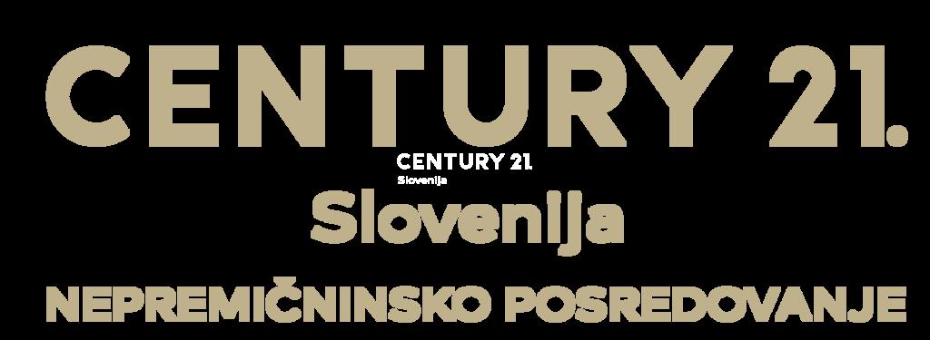 Stanetova ulica, Celje, Savinjska 3000, 斯洛文尼亚