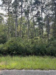 5827 Holly Street, Mays Landing, Nova Jersey 08330, Estados Unidos