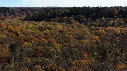 000 Summers Loop, Judsonia, Arkansas 72081, États-Unis