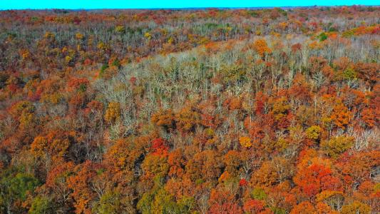 000 Summers Loop, Judsonia, Arkansas 72081, États-Unis