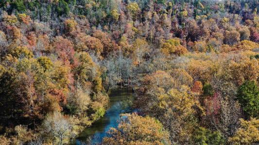 000 Summers Loop, Judsonia, Arkansas 72081, États-Unis