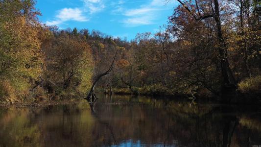 000 Summers Loop, Judsonia, Arkansas 72081, États-Unis