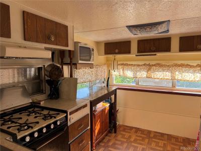 10795 County Road 197a #194, Nathrop, Colorado 81236, États-Unis