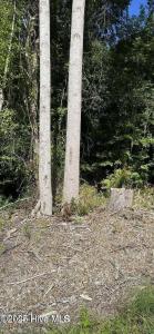 000 Perry's Bridge Road, Belvidere, North Carolina 27919, HOA KỲ