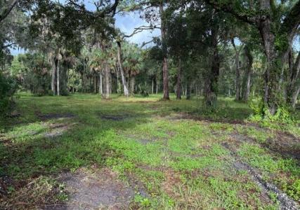 0 Tionia Road, New Smyrna Beach, Florida 32168, USA