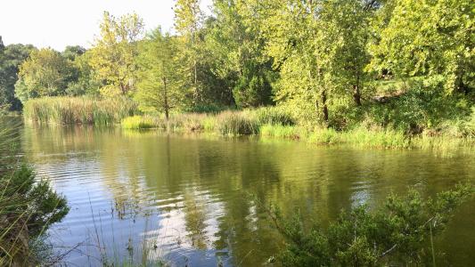 29 Wood Glen Drive, Wimberley, Texas 78676, Estados Unidos