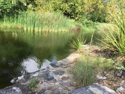 29 Wood Glen Drive, Wimberley, Texas 78676, Estados Unidos