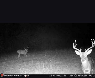 TBD W HWY 80, Mineola, Texas 75773, USA