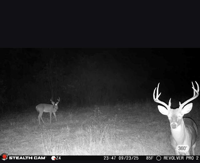 TBD W HWY 80, Mineola, 得克萨斯州 75773, 美国