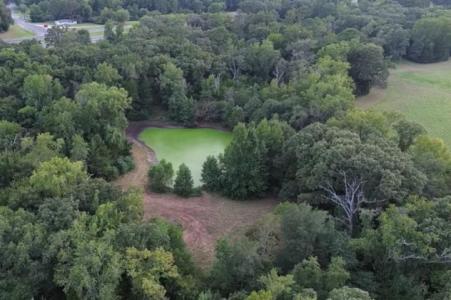 TBD W HWY 80, Mineola, 得克萨斯州 75773, 美国