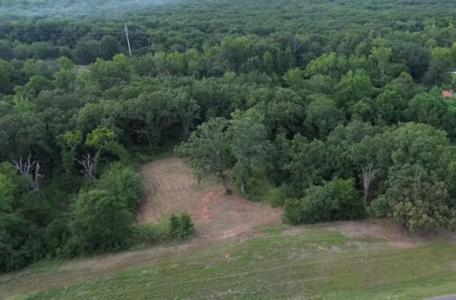 TBD W HWY 80, Mineola, 得克萨斯州 75773, 美国