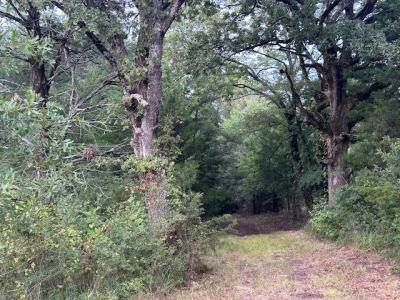 TBD W HWY 80, Mineola, 得克萨斯州 75773, 美国