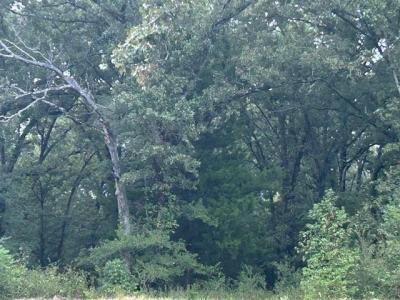 TBD W HWY 80, Mineola, 得克萨斯州 75773, 美国