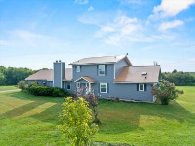 228749 Chestnut Hill Ln, Abbotsford, Висконсин 54405, Соединенные Штаты