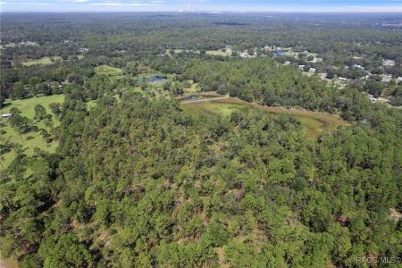 5499 N Gonzo Point, Crystal River, フロリダ 34428, アメリカ合衆国