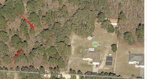 0 SW 95TH PL, DUNNELLON, Floride 34432, États-Unis