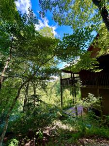 80 Rosemond Road, Cleveland, 사우스 캐롤라이나 29635, 미국