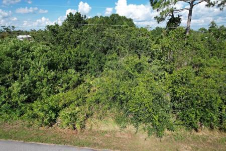 219 Boren Avenue, Lake Placid, Floride 33852, États-Unis