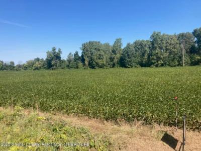 000 W Huff Road, Elsie, Michigan 48831, USA