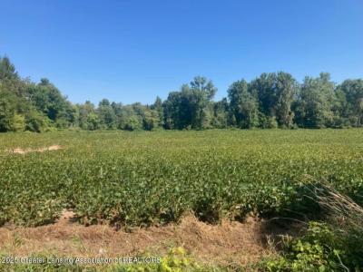 000 W Huff Road, Elsie, 密西根州 48831, 美國