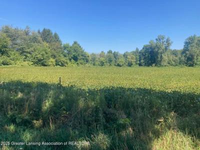 000 W Huff Road, Elsie, 密西根州 48831, 美國