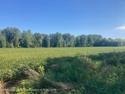 000 W Huff Road, Elsie, 密西根州 48831, 美國