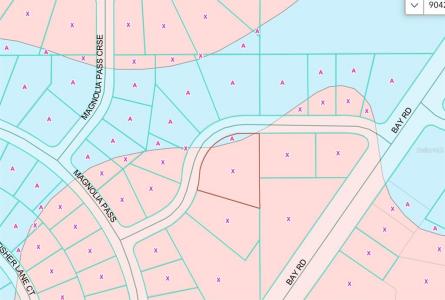 Magnolia Pass Trace, Ocklawaha, Floride 32179, États-Unis