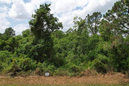 7045 Cortez Boulevard, SEBRING, フロリダ 33872, アメリカ合衆国