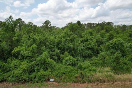 7037 Cortez Boulevard, SEBRING, فلوريدا 33872, الولايات المتحدة