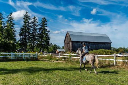 363 12 LINE N, Oro-Medonte-, Ontario L0L 1T0, Kanada