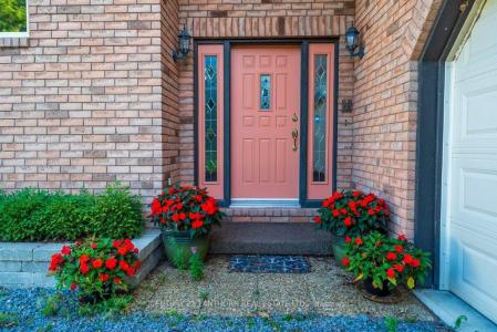 3126B COUNTY RD 8 ROAD, Prince Edward County, Ontario K0K 2T0, Canadá