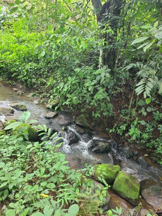  , Tronadora Tilarán, 瓜那卡斯特 00001, 哥斯達尼加