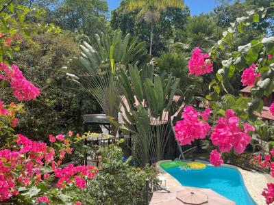 Ojochal Puerto Cortés Osa, 蓬塔雷纳斯 00001, 哥斯达黎加