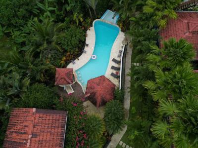 Ojochal Puerto Cortés Osa, 蓬塔雷纳斯 00001, 哥斯达黎加