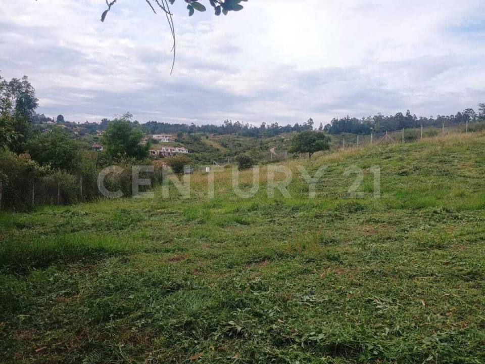 Villa De Leyva, Boyaca 00001, Colombia