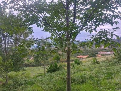 Villa De Leyva, Boyaca 00001, Colombia