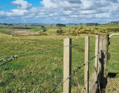 455 Mount Wesley Coast Road (Lot 1), Dargaville, Kaipara District 0371, New Zealand