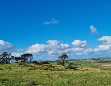 455 Mount Wesley Coast Road (Lot 2), Dargaville, Kaipara District 0371, New Zealand