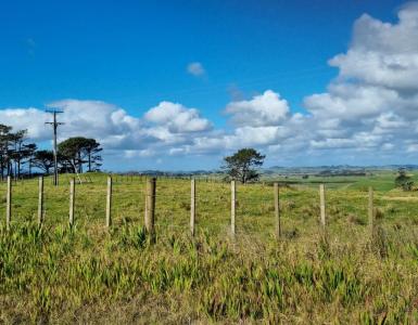 455 Mount Wesley Coast Road (Lot 2), Dargaville, Kaipara District 0371, Neuseeland