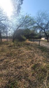 Loma Plata, Boquerón Loma Plata, Paraguay