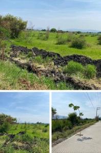 Parcela ,, Jojutla, Morelos 62919, Mexique