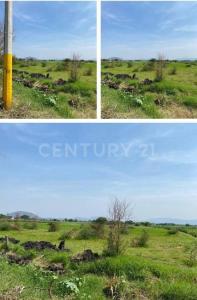 Parcela ,, Jojutla, 모렐로스 62919, 멕시코